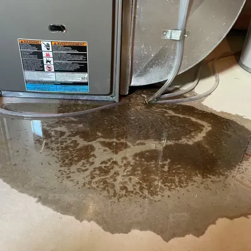 Appliance Leak Cleanup in Edwardsville, KS